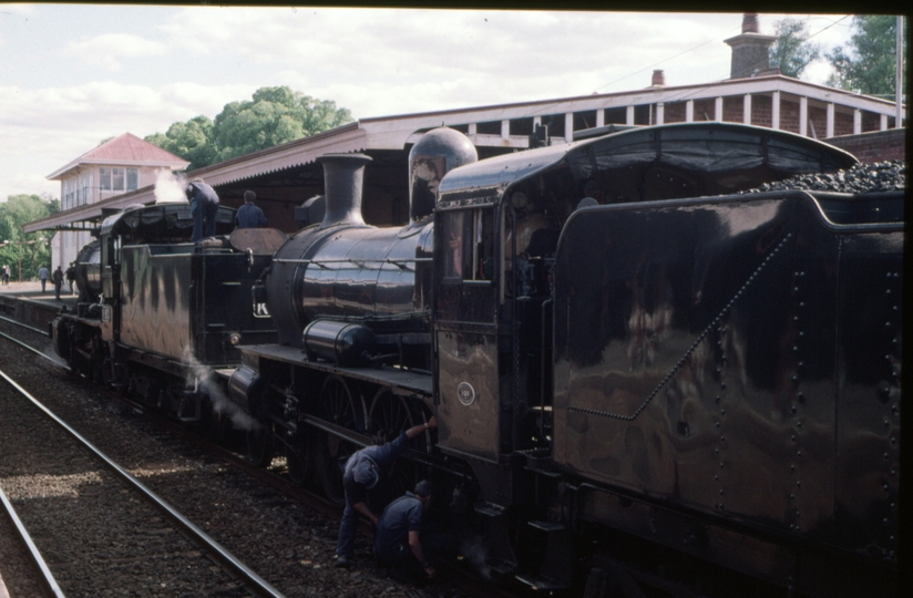 126124: Castlemaine 8094 Up SteamRail Special K 190 D3 639