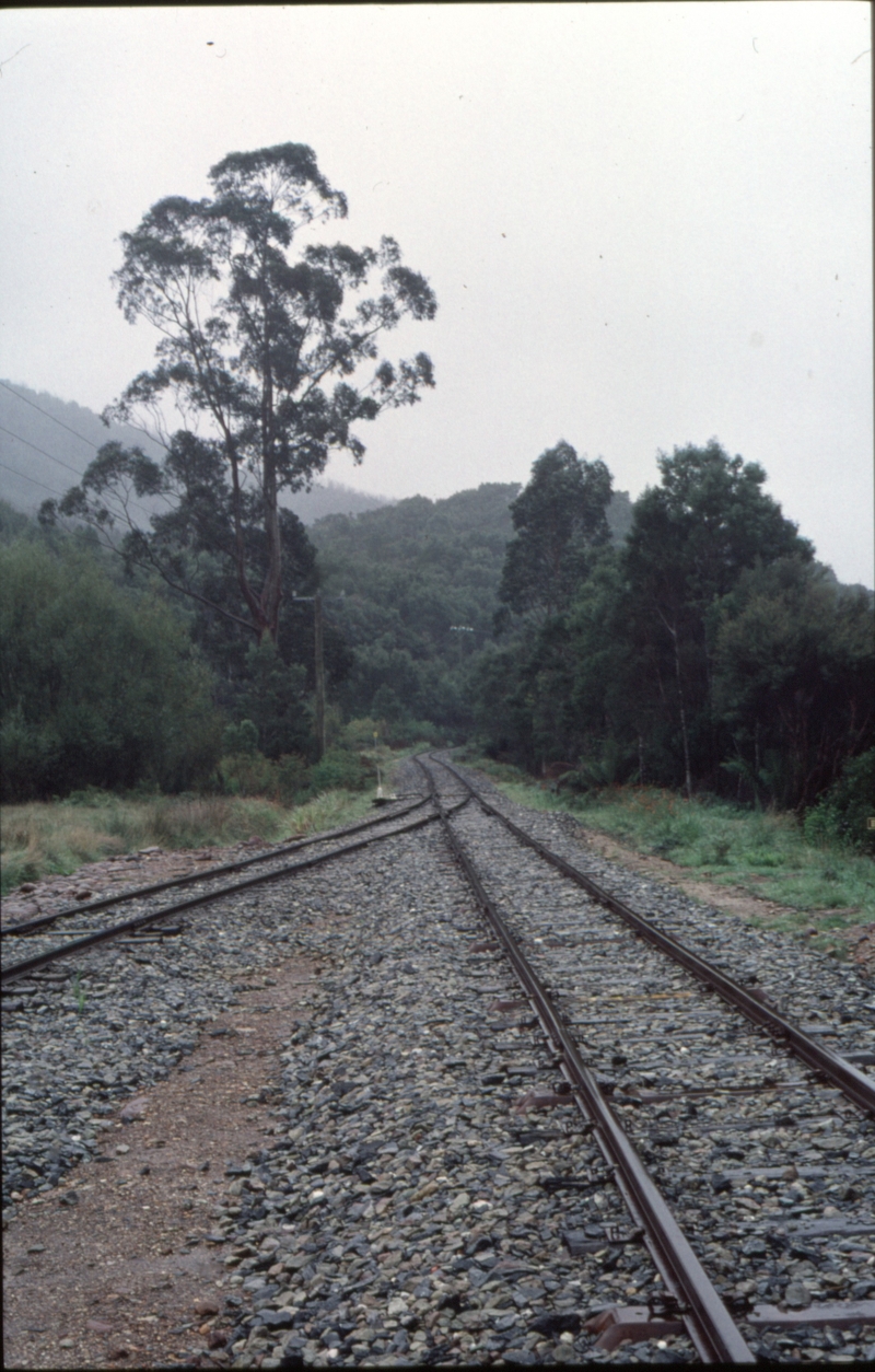 126230: Lynchford looking towards Queenstown