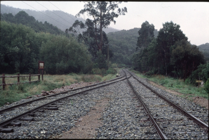 126231: Lynchford looking towards Queenstown