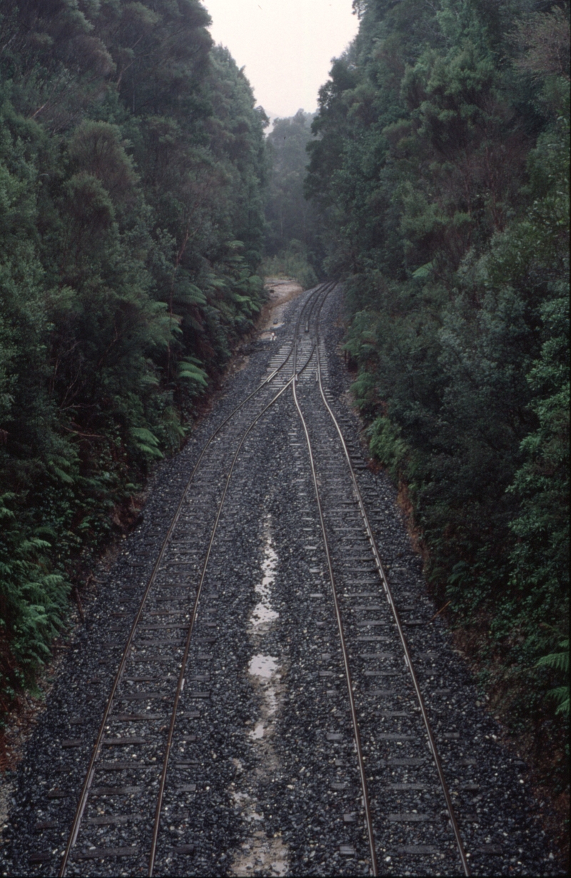 126236: Rinadeena looking towards Queenstown from footbridge