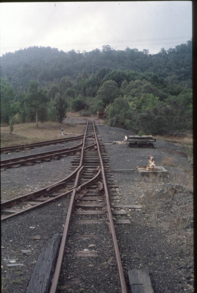 126262: Tullah ladder of single bladed turnouts looking away from Depot