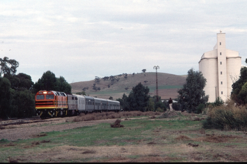 126467: Gladstone 1V13 Port Dock Museum Special from Crystal Brook 2203 GM 1