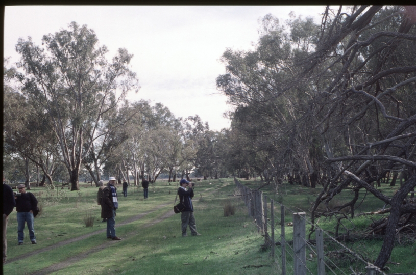 126524: Karn looking towards Benalla from Platform