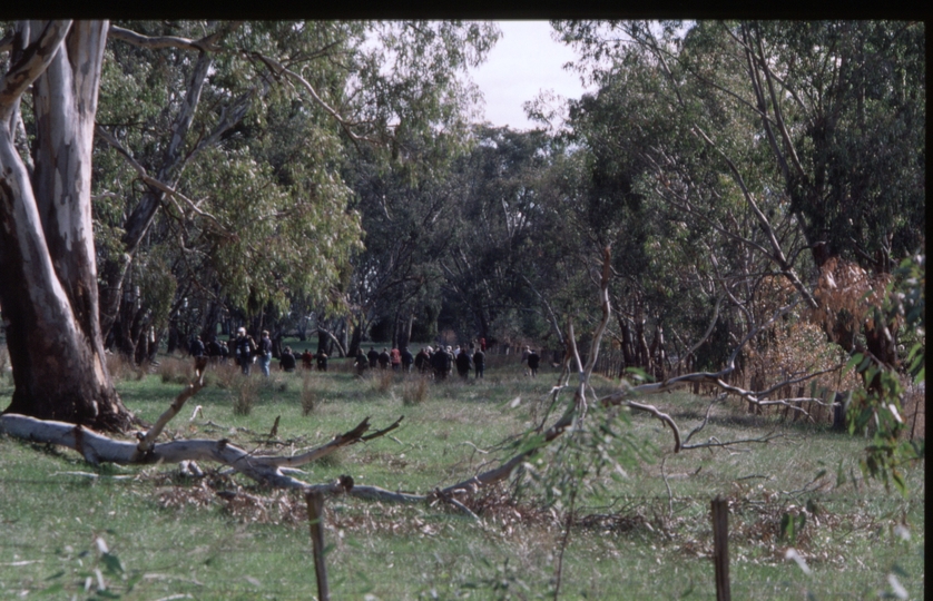 126533: Tatong looking looking towards Benalla from point near end of track