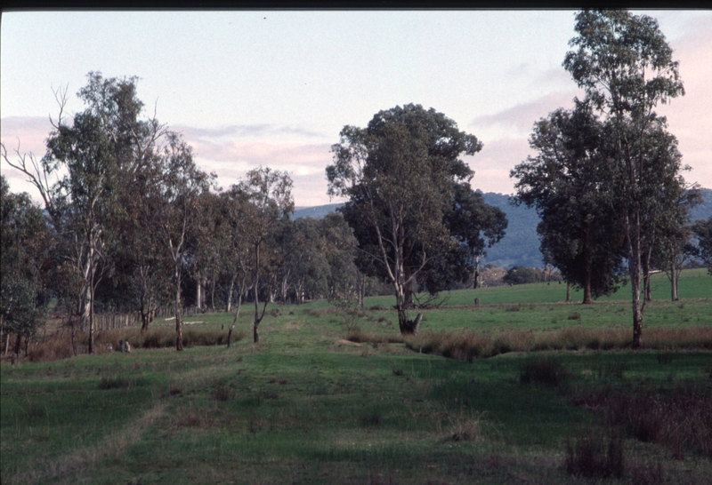 126536: Mile 137.75 looking towards Benalla from level crossing site