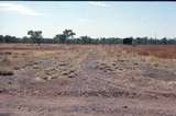 126710: Kajabbi looking towards Cloncurry from station site