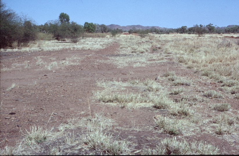 126711: Kajabbi looking towards Dobbyn from station site