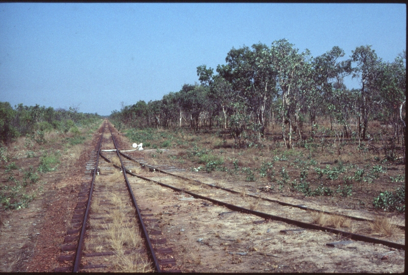 126774: Mile 16 Normanton Railway Critter's Camp West Switch looking West