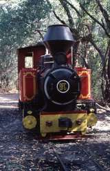 126995: Siding near Port Douglas 'Bundy' BFC 0-6-2TT 2-1952