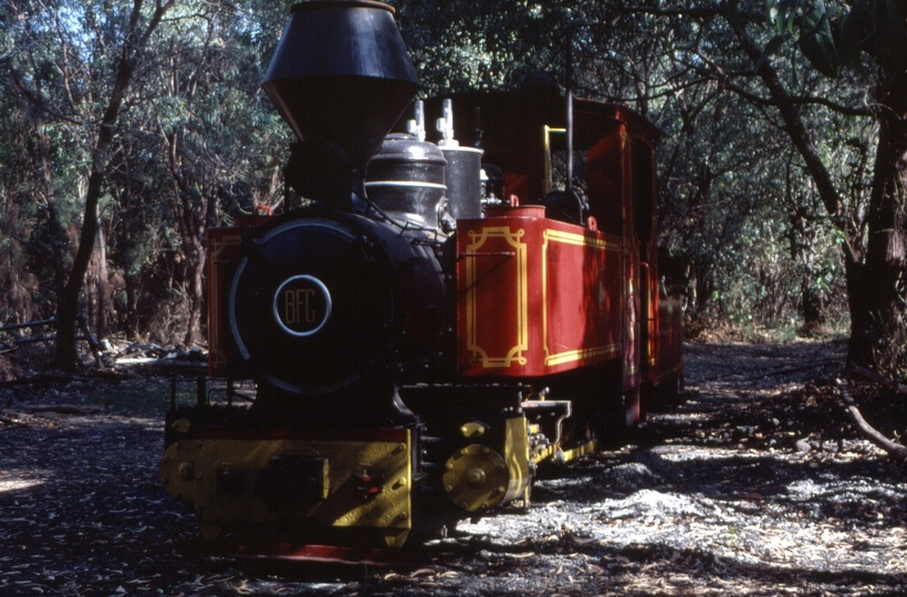 126996: Siding near Port Douglas 'Bundy' BFC 0-6-2TT 2-1952