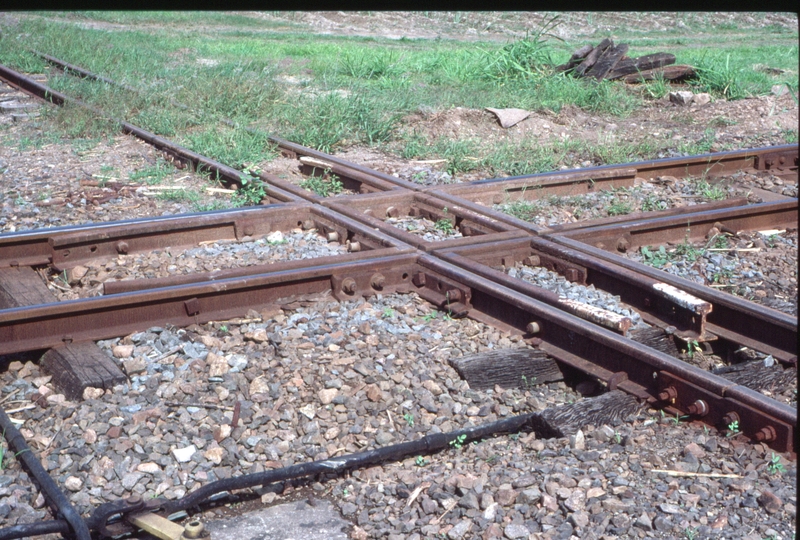 127018: Near Bellenden-Ker Cane tramway grade crossing with North Coast Line viewed from West side