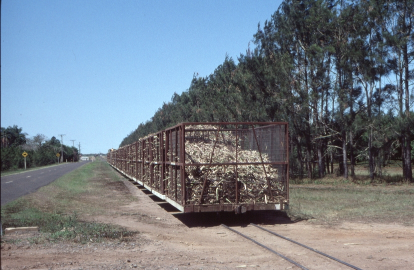 127041: Fairymead Mill Meadowvale Hoods Road Loaded Cane (66),