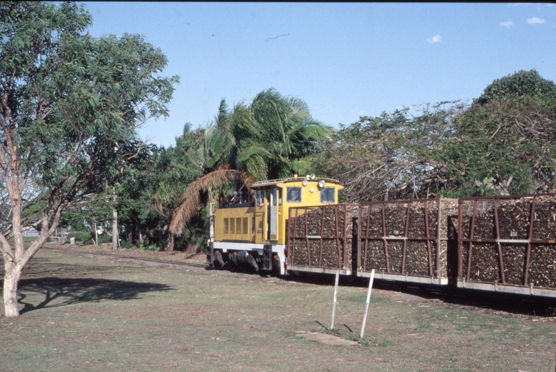 127046: Fairymead Mill South Kolan Loaded Cane 'Givelda'