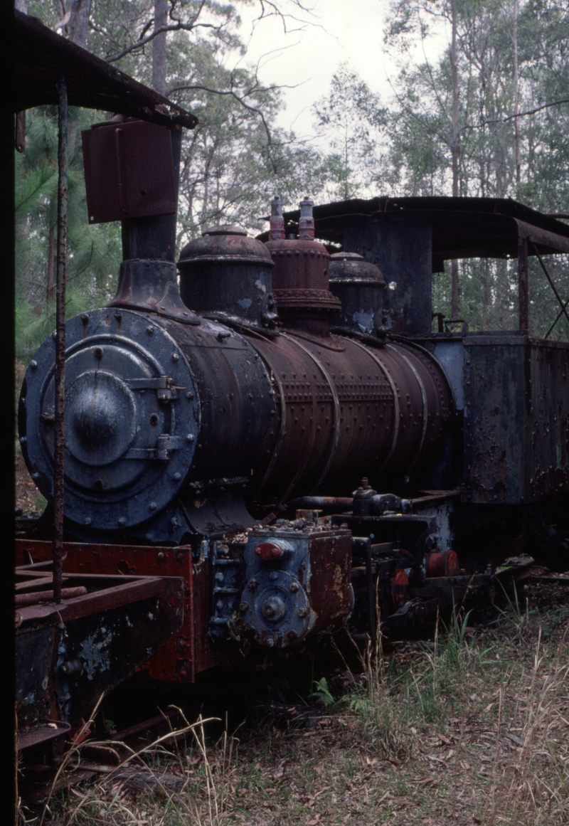 127065: ANGRMS Woodford QR B9.5 11 ex Innisfail Tramway