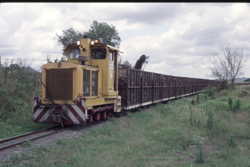 127113: Nambour Mill River Store Road South end Loaded Cane Train 'Bli Bli' leading