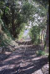 127133: Nambour Mill Looking South from Haas Street Level Crossing