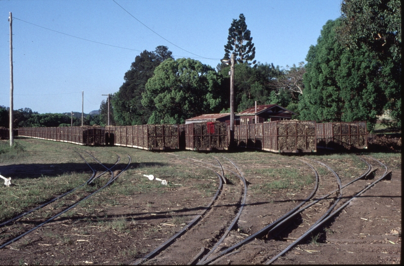 127134: Nambour Mill Marshalling Yard West end