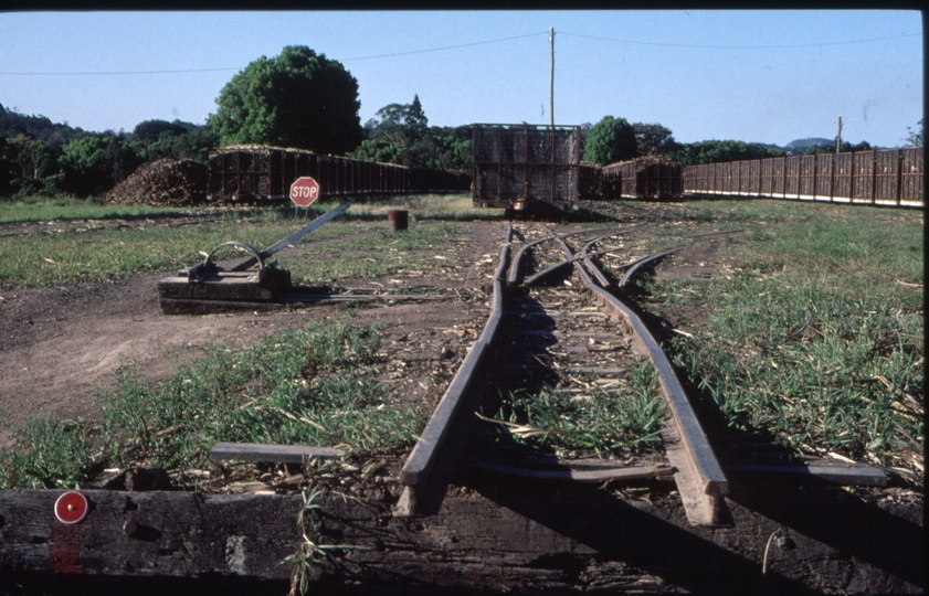 127136: Nambour Mill Marshalling Yard Rail - Road transfer