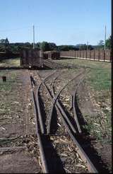 127137: Nambour Mill Marshalling Yard 3-way stub points at West end