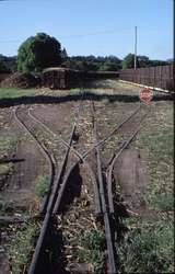 127138: Nambour Mill Marshalling Yard 3-way stub points at West end