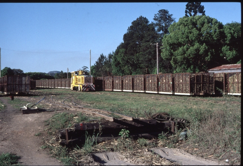 127140: Nambour Mill Marshalling Yard 'Coolum' on rake of bins