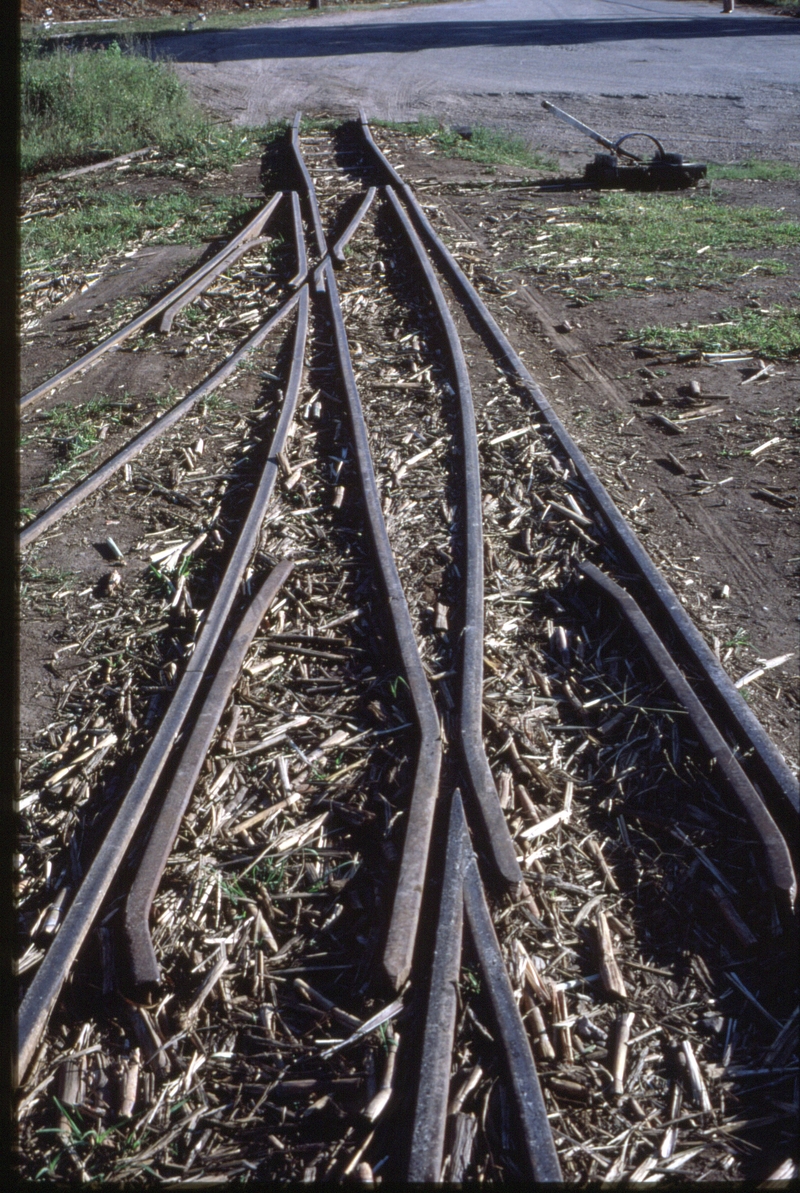 127143: Nambour Mill Mashalling Yard 3-way stub points ans Rail - Road transfer