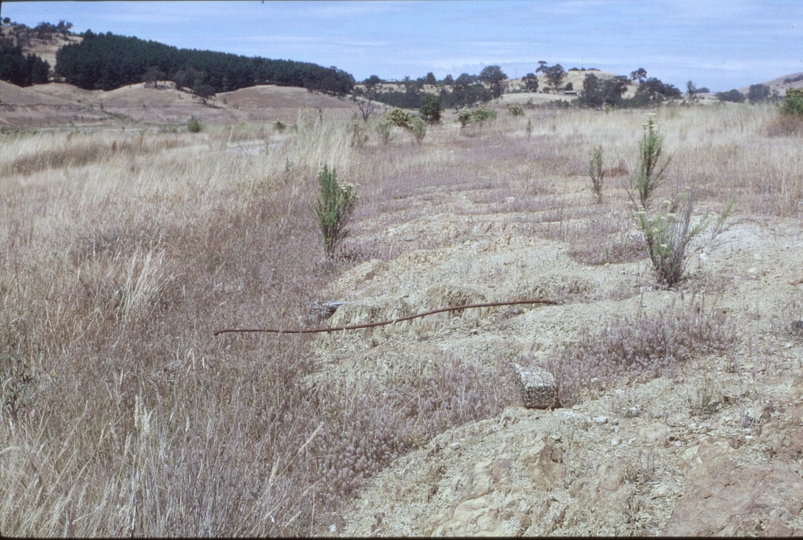 127225: Bonnie Doon (1), looking East from West end of platform