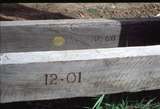 127273: Wnter's Flat Bridge Date Markings