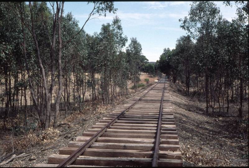 127278: Mile 82.5 Maldon Line looking towards Maldon First track to be relaid