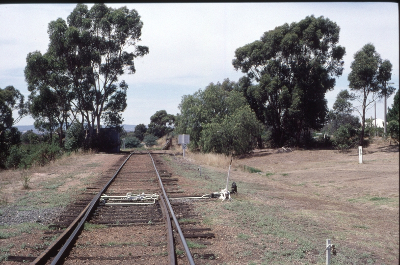 127288: Maldon looking towards Castlemaine from main line points