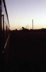 127364: Walgett Grain Siding view from NL85 Down NSWRTM Special looking West