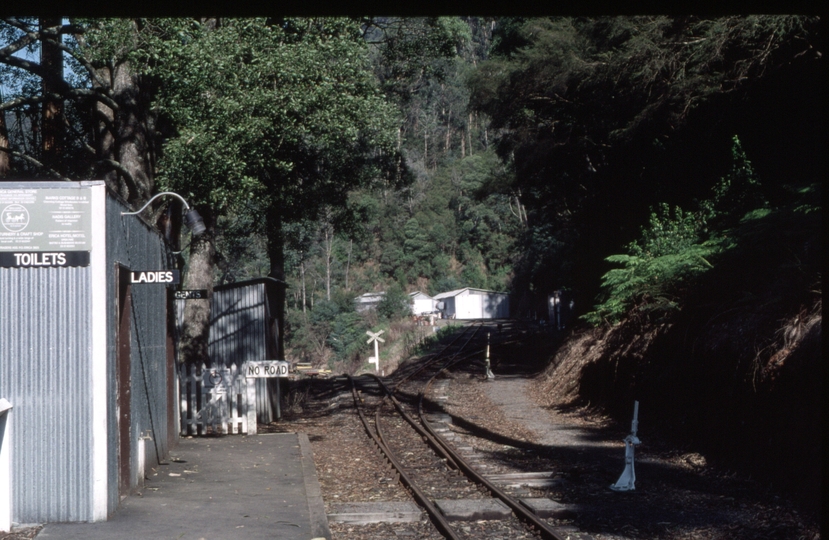 127418: Thomson looking towards Moe from platfrom