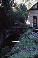 127442: Walhalla Drainage tunnel under original station site looking North