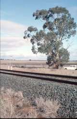 127493: km 192 Swan Hill Line looking towards Bendigo