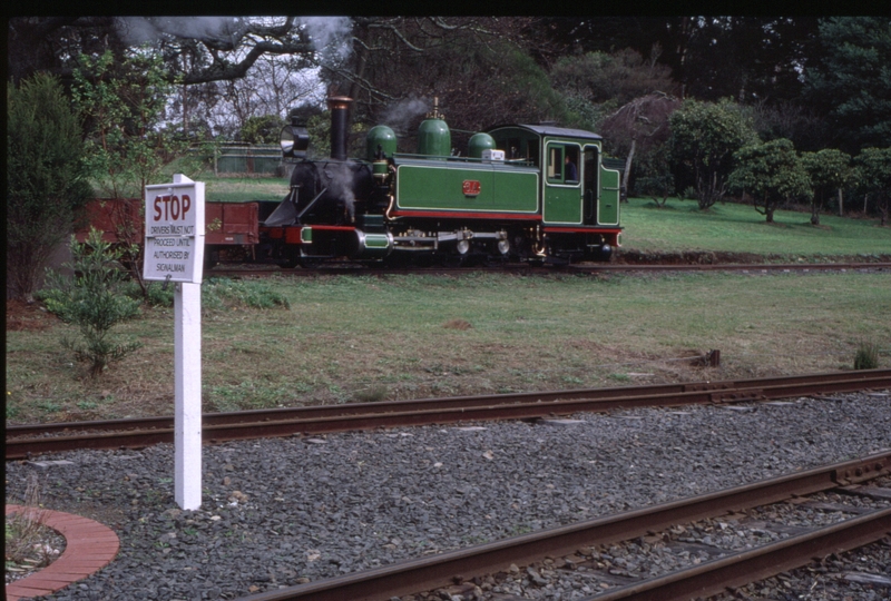 127555: Menzies Creek Stabled 40th Anniversary Special 6A