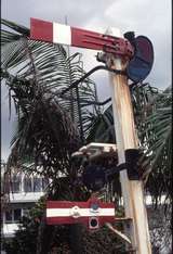 127605: Coffs Harbour display signals on platform