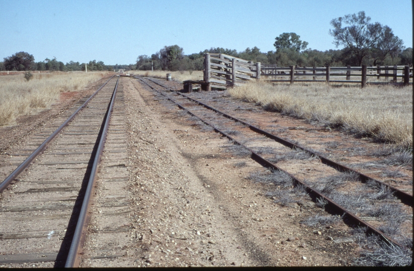 127669: Wallal looking South
