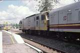 127784: Cooroy Up 'Queenslander' 3925