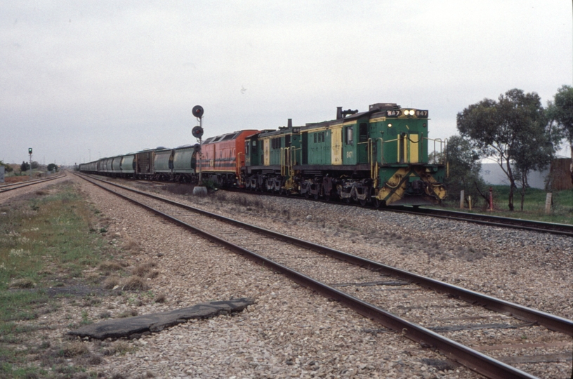 127893: Greenfields Empty Grain Train to Bowmans 847 846 CLP 16