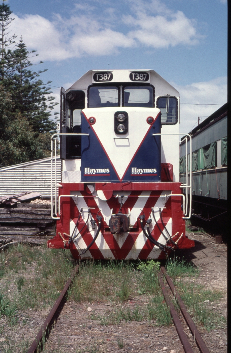 128080: Wallaroo T 387