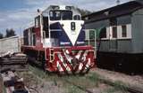 128086: Wallaroo T 387