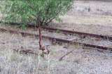 128273: Balldale Culcairn end points