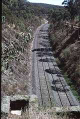 128462: Elphinstone Tunnel looking North from Bendigo Portal