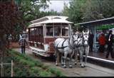 128535: Box Hill Terminus Up Opening Day Special Horse Tram 253