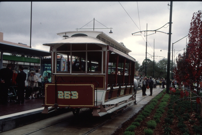 128536: Box Hill Terminus Up Opening Day Special Horse Tram 253