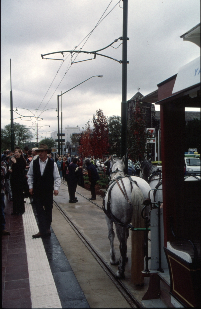 128537: Box Hill Terminus Up opening Day Special Horse Tram 253