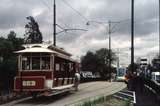 128538: Box Hill Terminus Up Opening Day Special Horse Tram 253