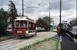 128539: Box Hill Terminus Up Opening Day Special Horse Tram 253