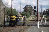 128625: Maryborough B 74 T 357 running round SRHC Special