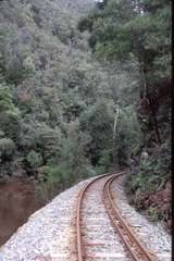 128756: km 24 West Coast Wilderness Railway looking towards Regatta Point